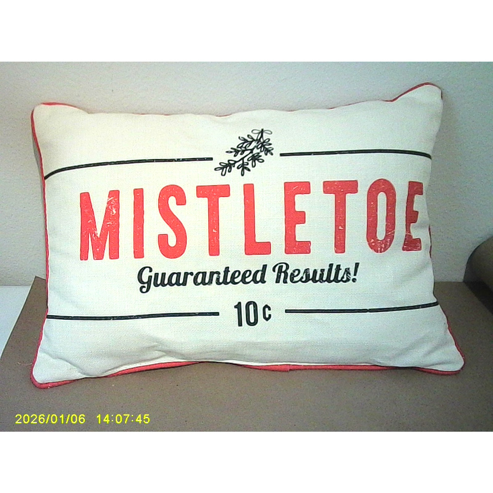 Mistletoe Guaranteed Results! 10 cents Festive Throw Pillow 21x14